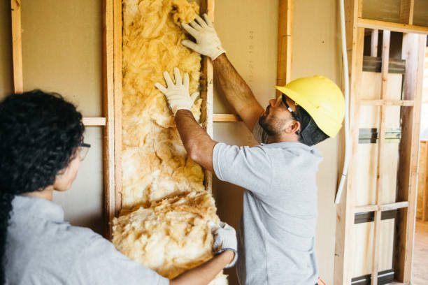Best Best Insulation Companies  in Limesa, CA
