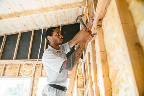 Best Insulation Contractor Near Me  in Limesa, CA