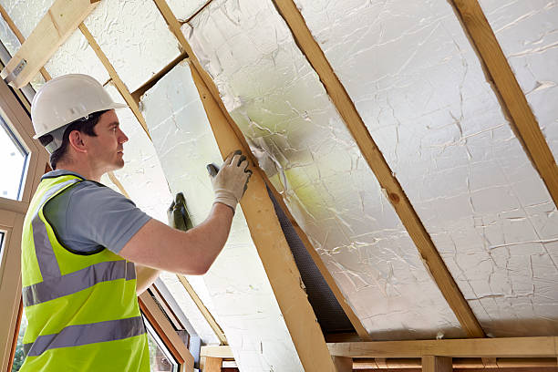 Best Insulation for New Construction  in Limesa, CA