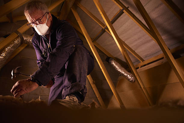 Best Spray Foam Insulation  in Limesa, CA